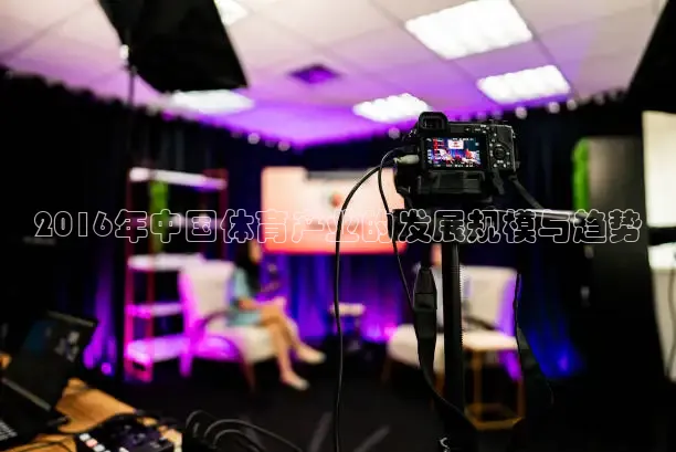 2016年中国体育产业的发展规模与趋势